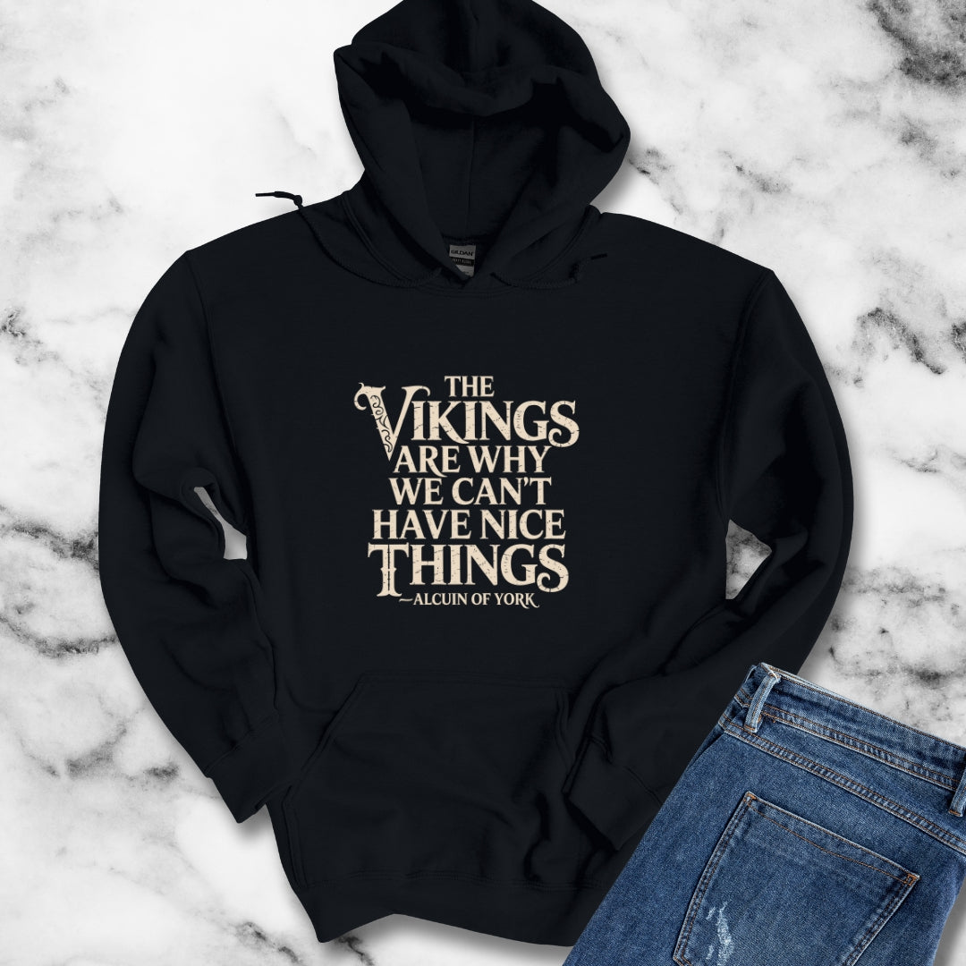 Vikings WHy We Can't Have Nice Things Unisex Heavy Blend™ Hooded Sweatshirt