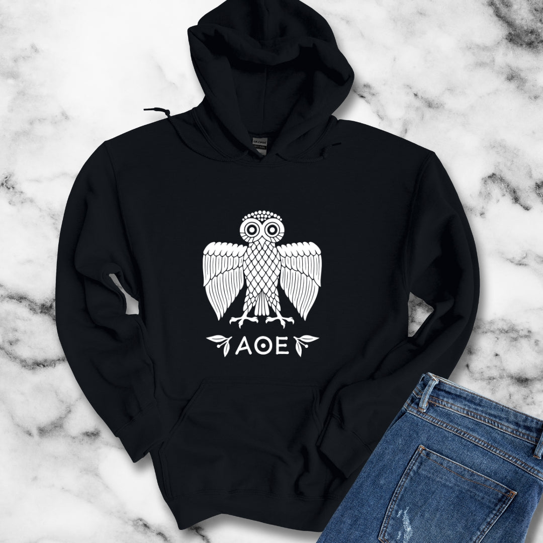 Ancient Athenian Owl Greece Unisex Heavy Blend™ Hooded Sweatshirt