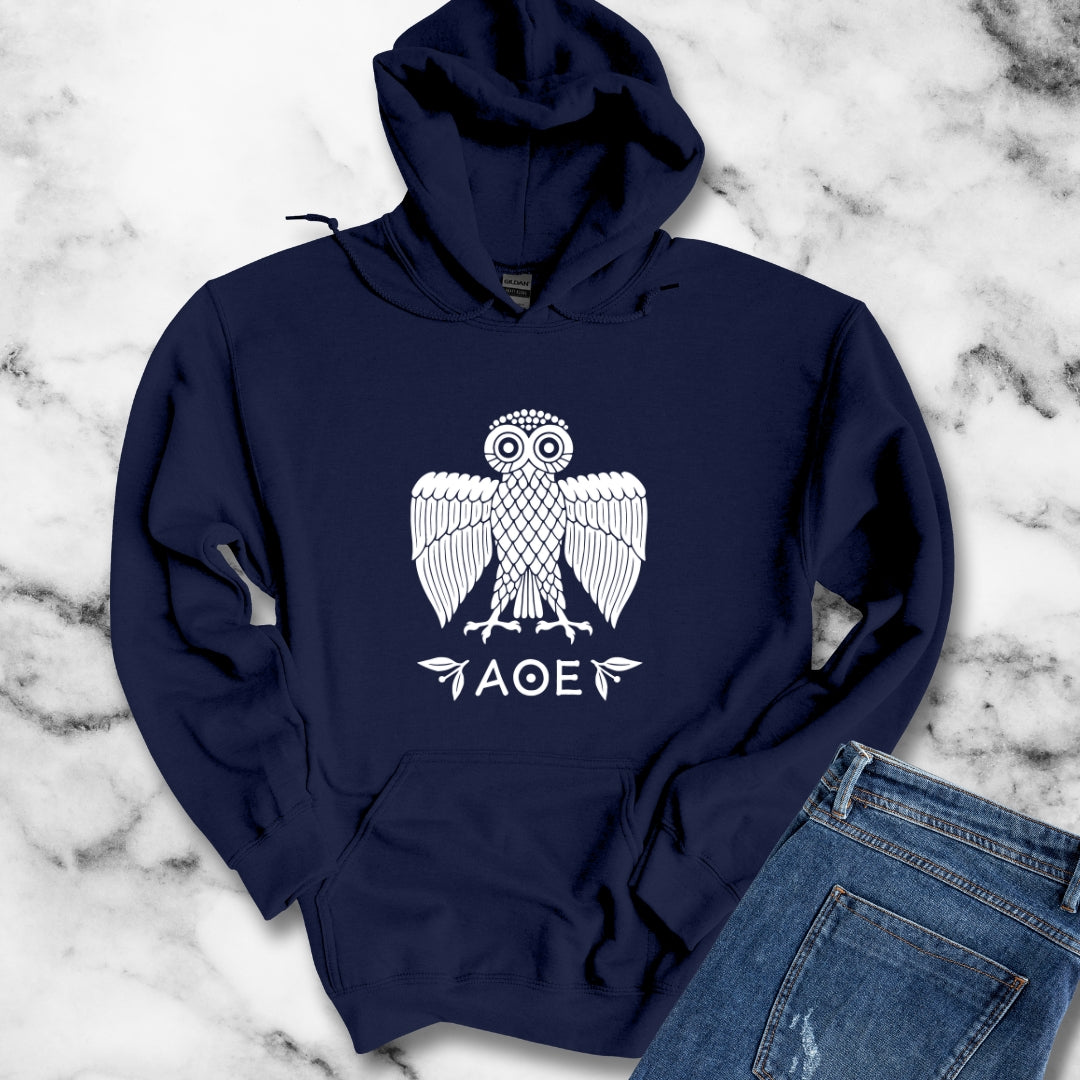 Ancient Athenian Owl Greece Unisex Heavy Blend™ Hooded Sweatshirt