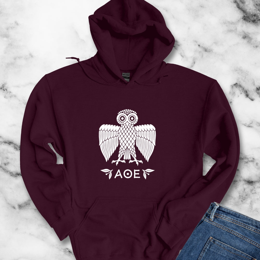 Ancient Athenian Owl Greece Unisex Heavy Blend™ Hooded Sweatshirt