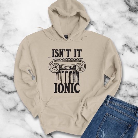 Isn't it Ionic Ancient Greek Column Unisex Heavy Blendâ„¢ Hooded Sweatshirt