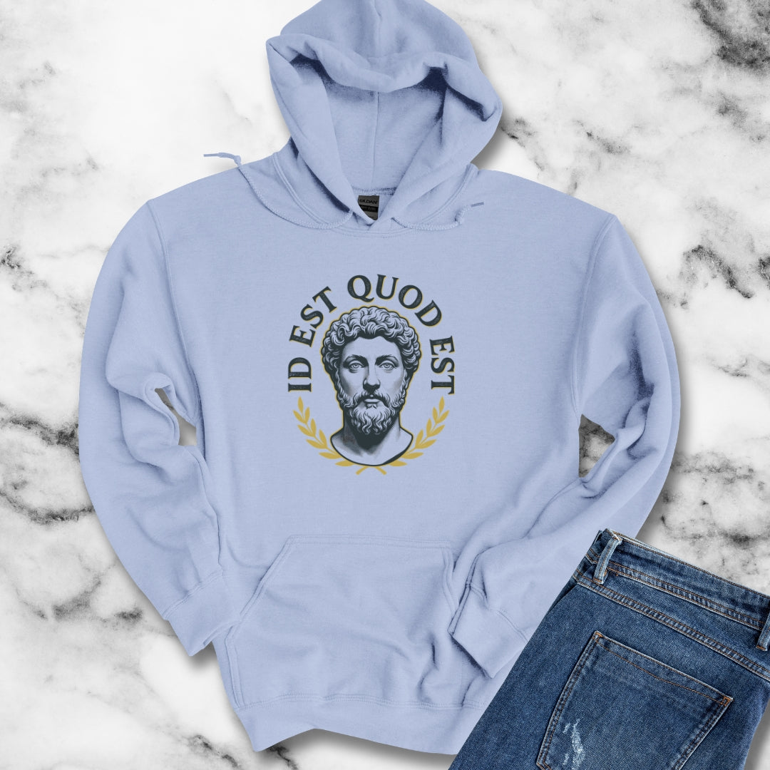 Aurelius It Is What It Is Latin Quote Hoodie Sweatshirt