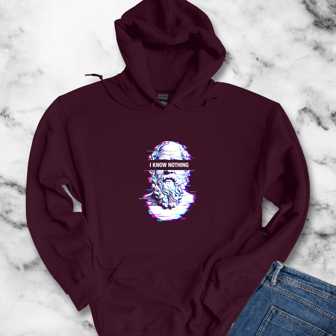 Socrates I Know Nothing Hoodie Sweatshirt