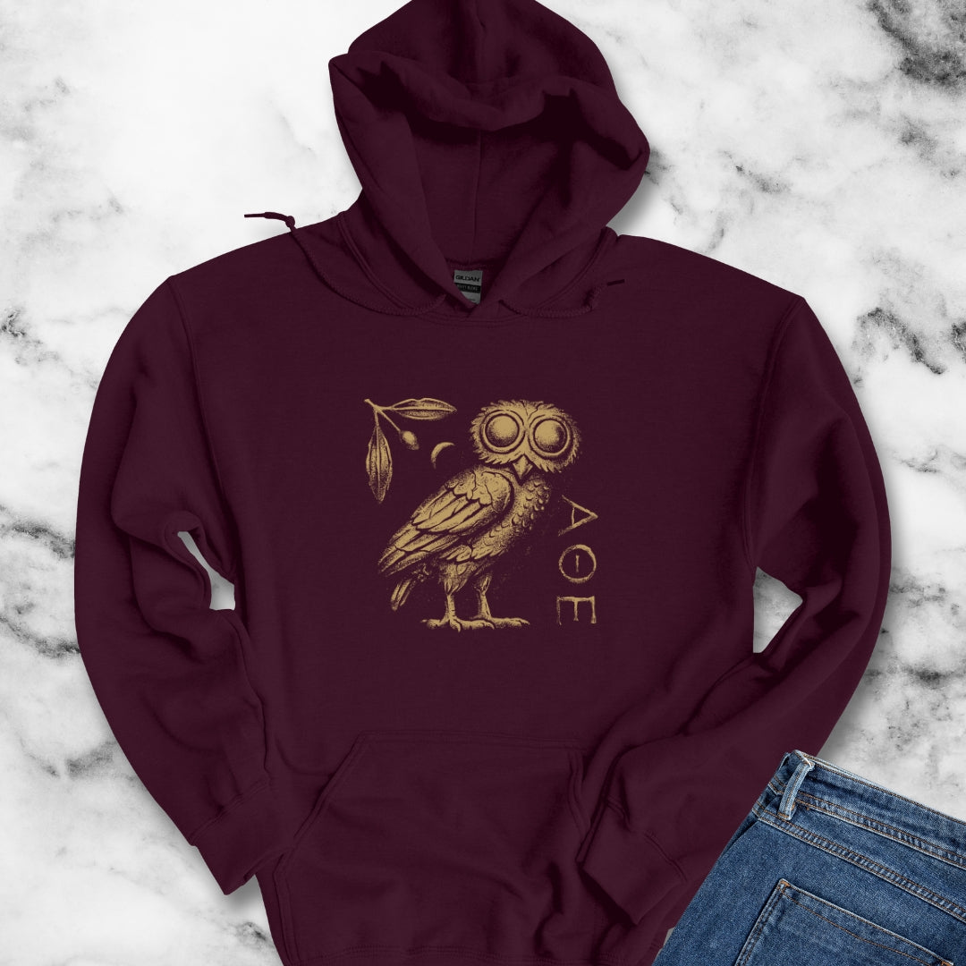 Athens Owl Distressed Graphic Hoodie