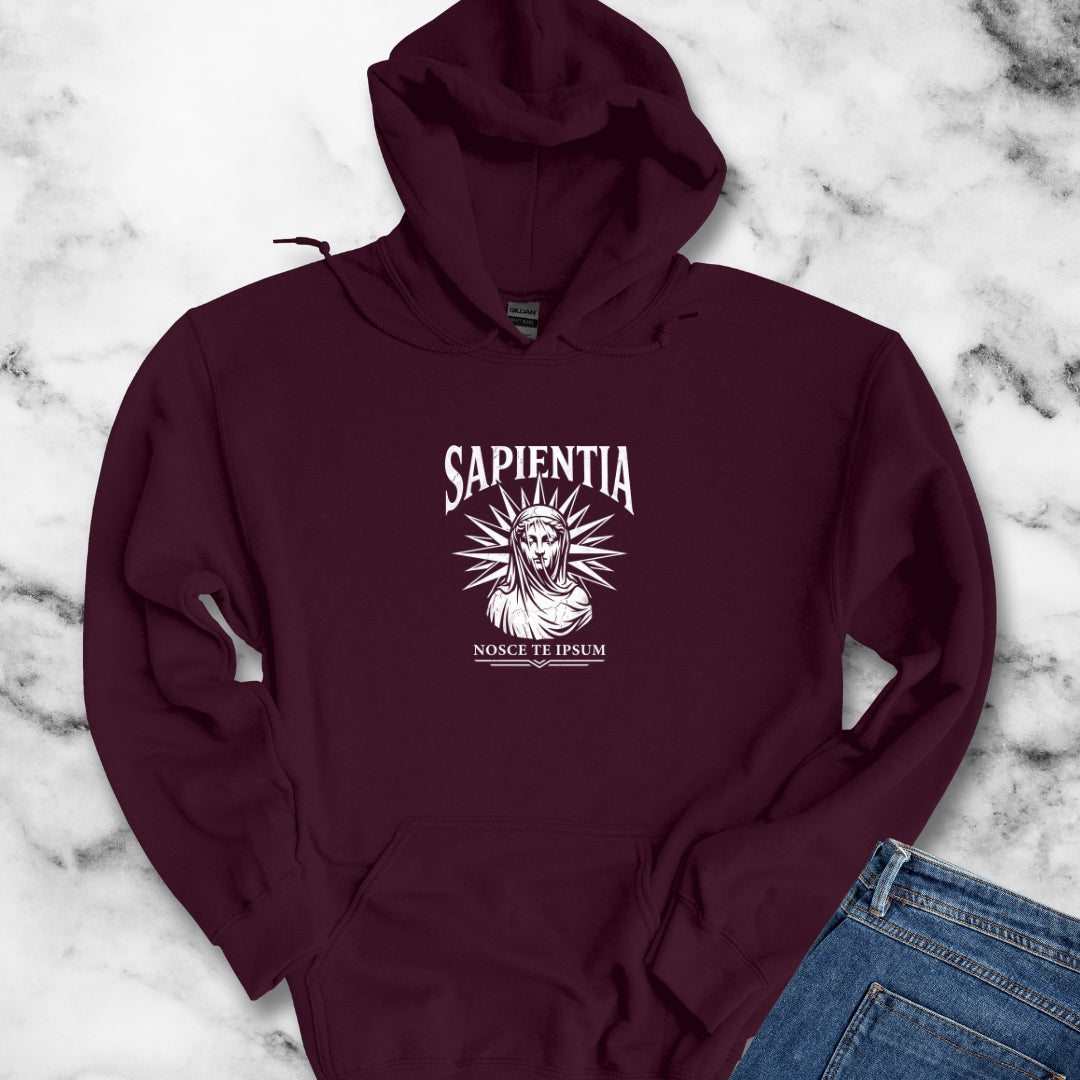 Wisdom Know Thyself Latin Hoodie