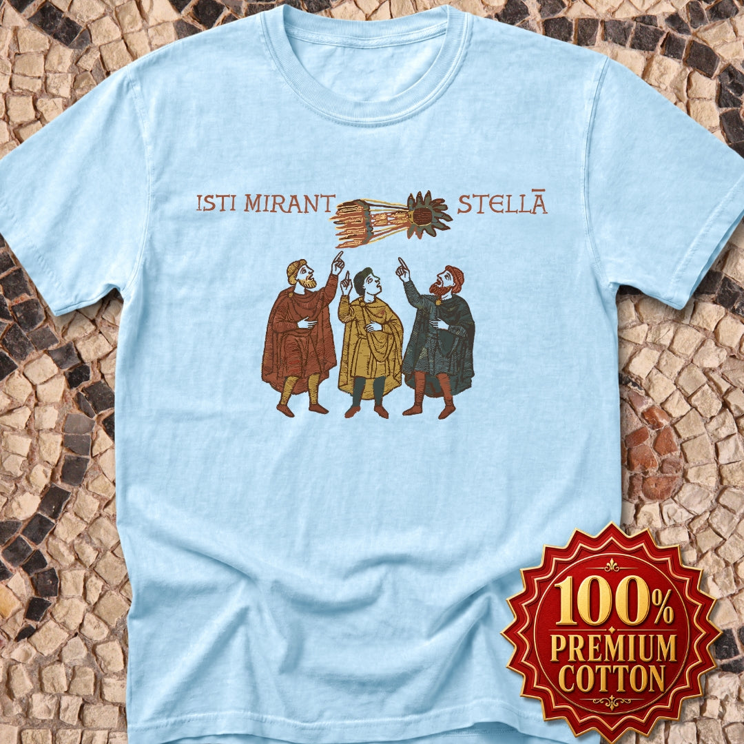 Bayeau Tapestry Comet Premium Tee
