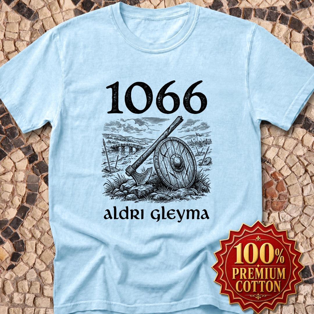 1066 Stamford Bridge Never Forget in Old Norse Premium Tee