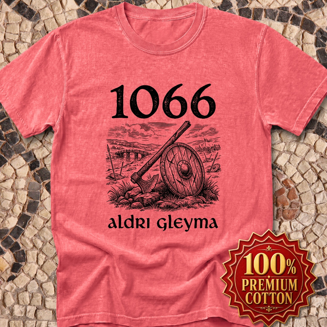 1066 Stamford Bridge Never Forget in Old Norse Premium Tee