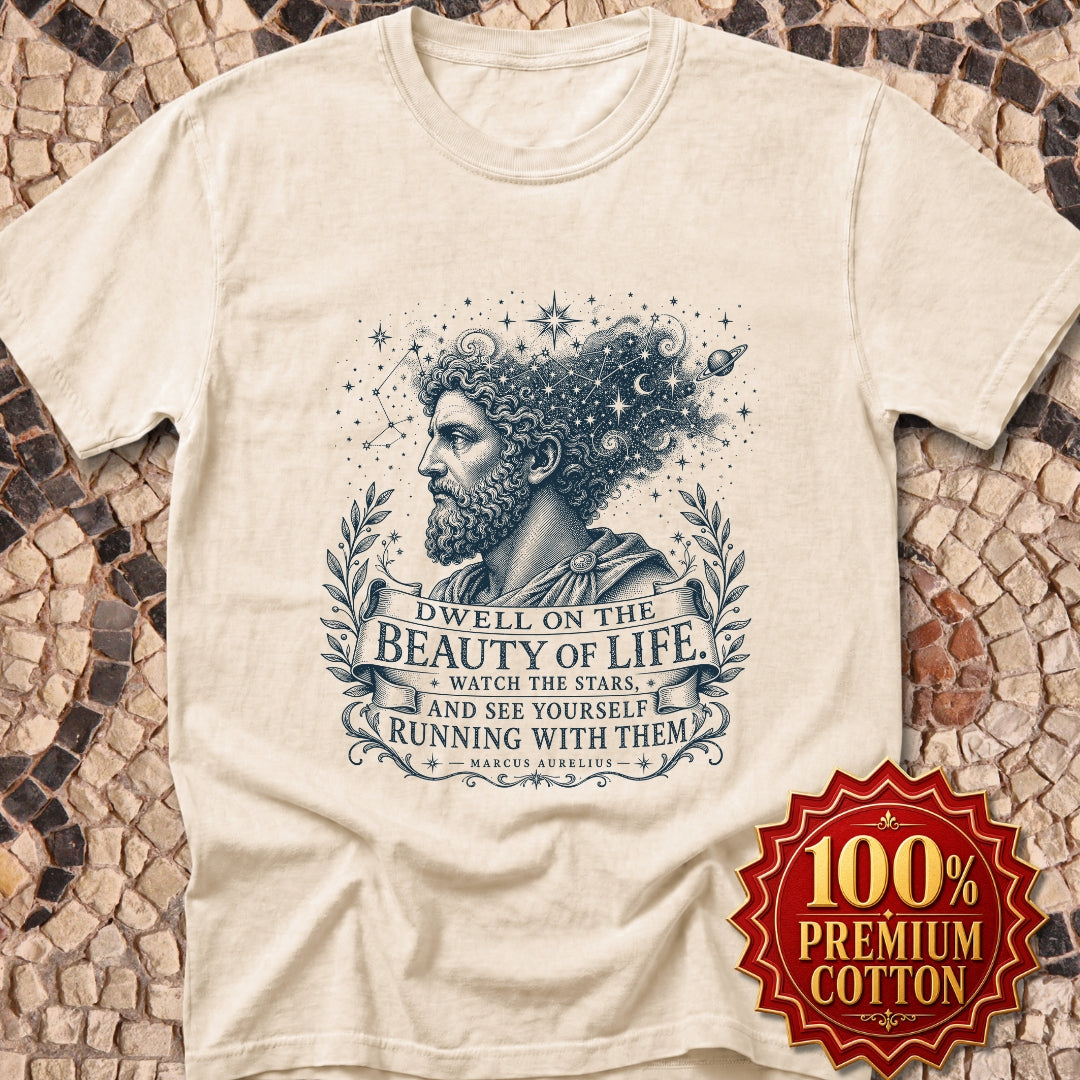 Running with the Stars Aurelius Quote Premium Tee