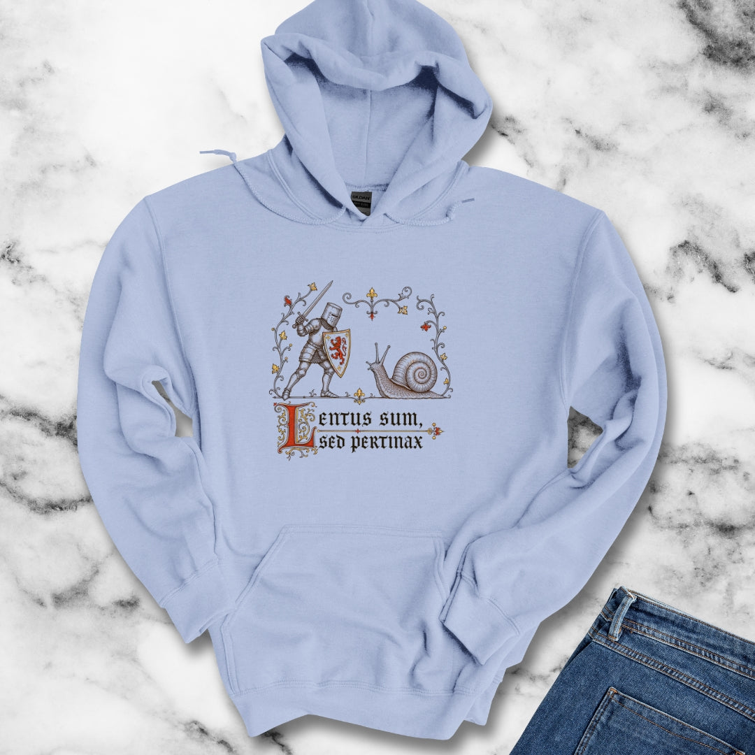 Knight vs Snail Marginalia Slow but Persistent Hoodie