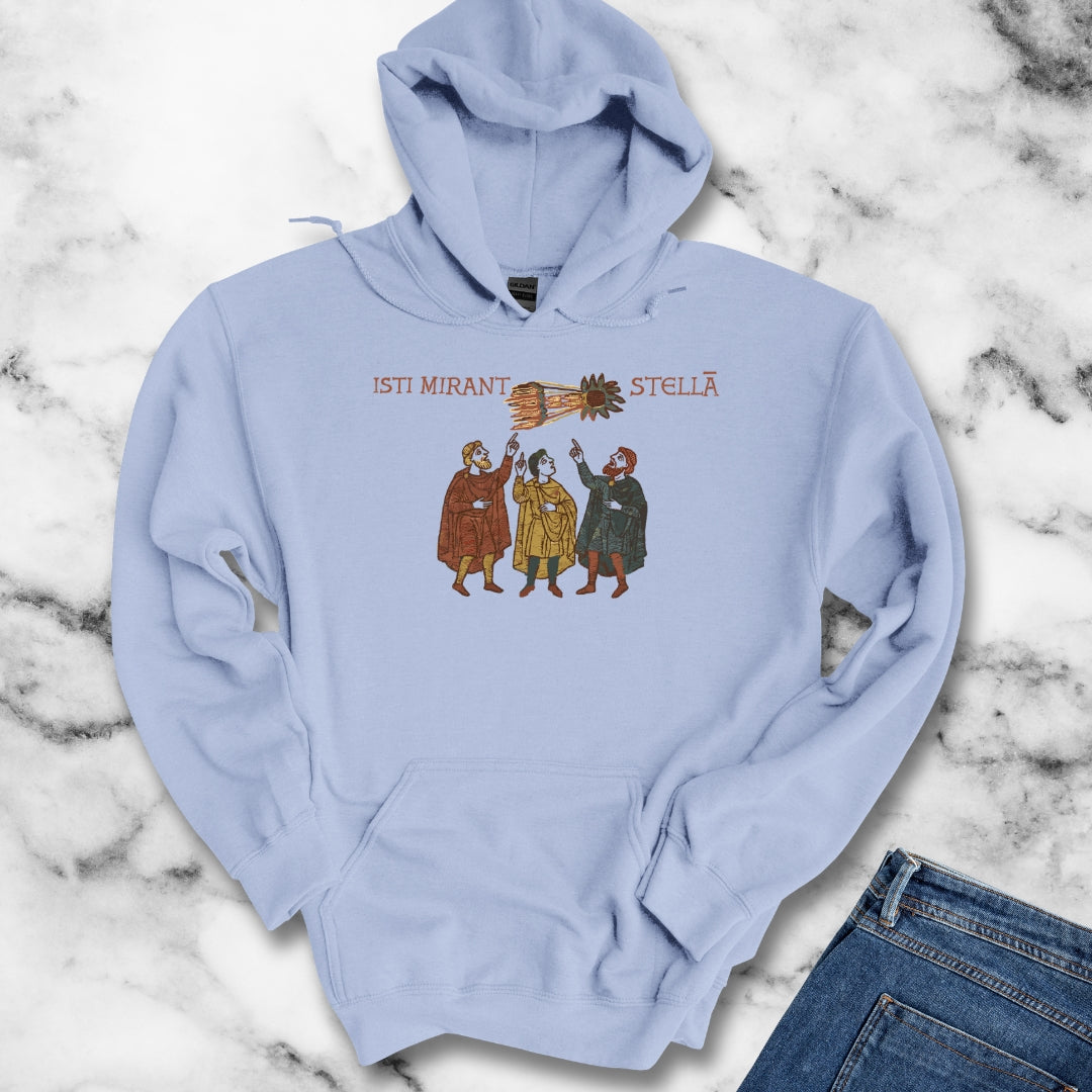 Bayeux Tapestry Comet Hoodie