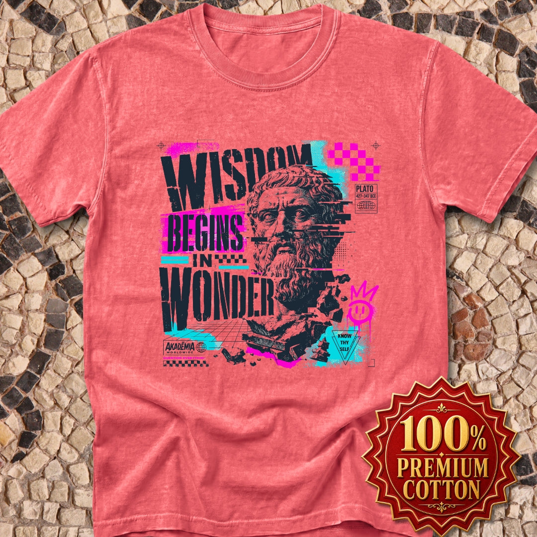 Plato Wisdom Begins in Wonder Premium Tee