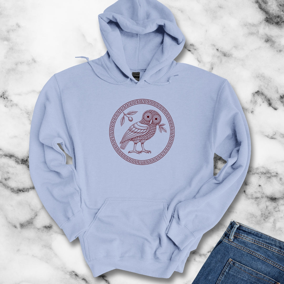 Ancient Athens Owl Wisdom Hoodie