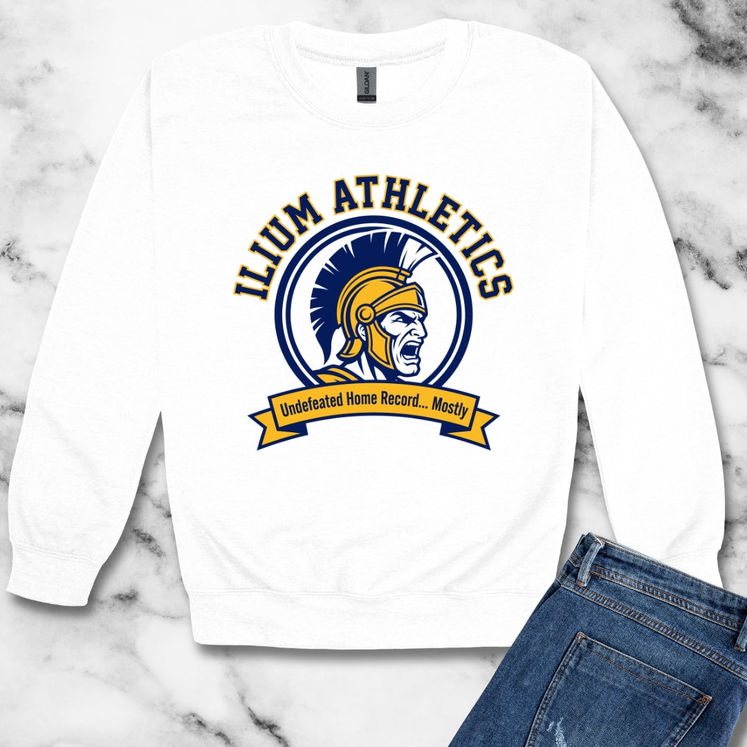 Ilium Athletics Troy Unisex Heavy Crewneck Sweatshirt