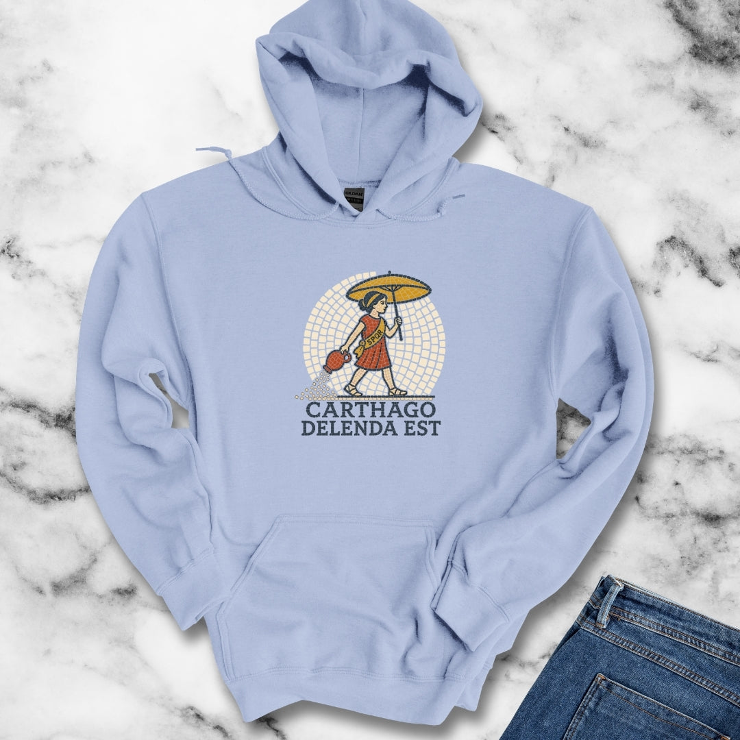 Carthago Delenda Est Mosaic Hoodie