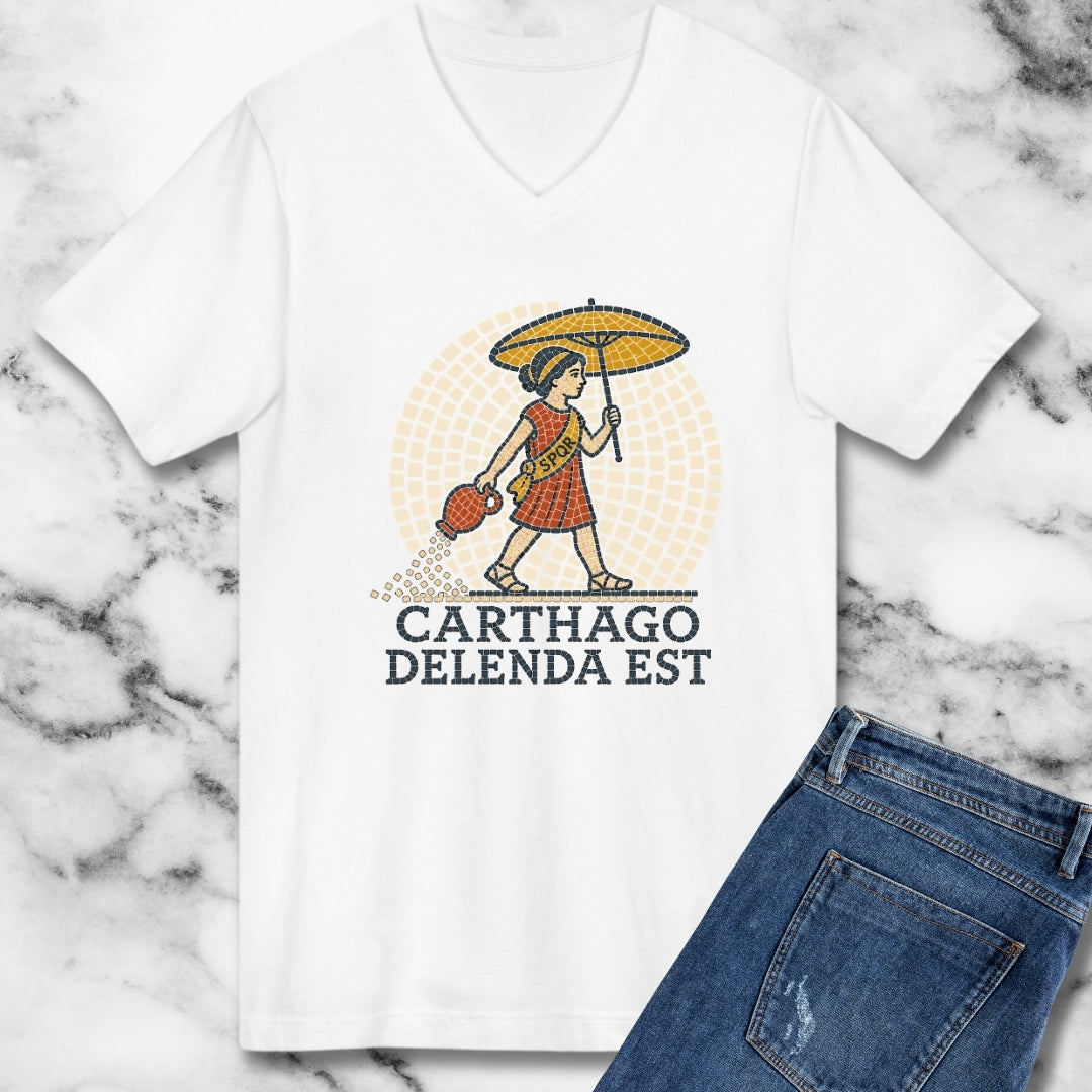 Carthago Delenda Est Mosaic V-neck