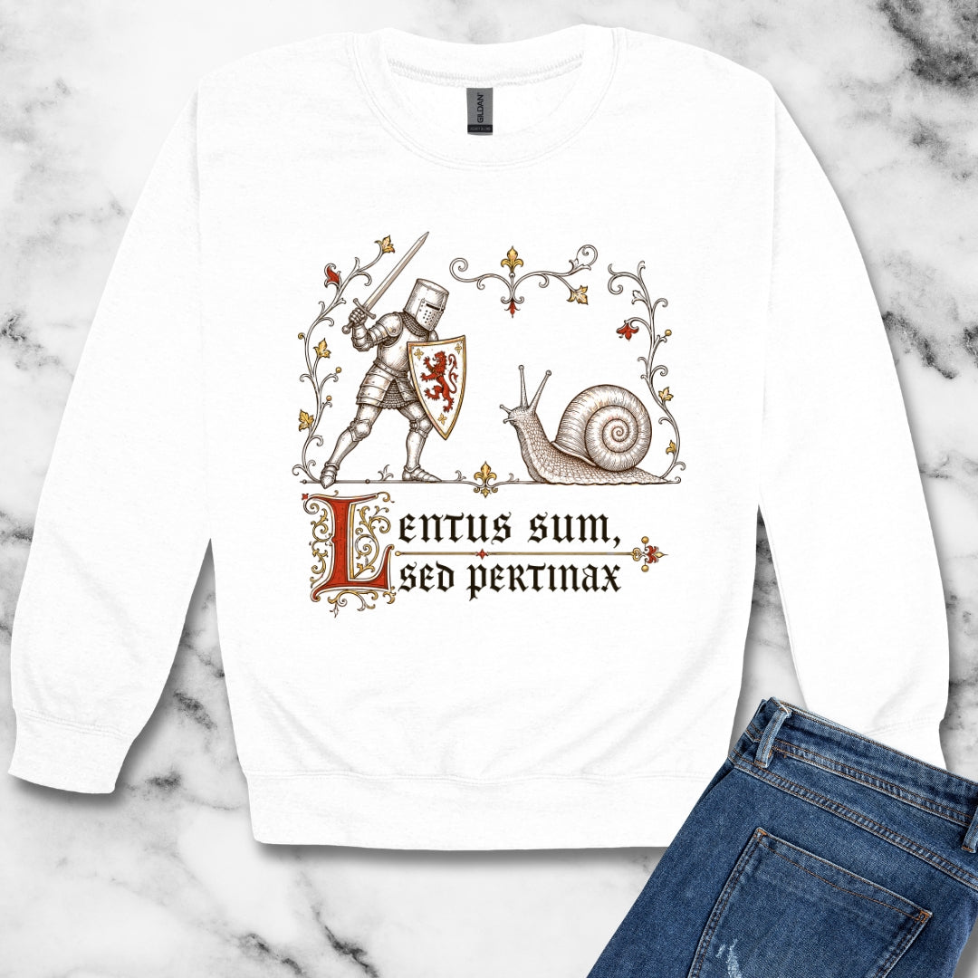 Knight vs Snail Marginalia Slow but Persistent Unisex Heavy Crewneck Sweatshirt