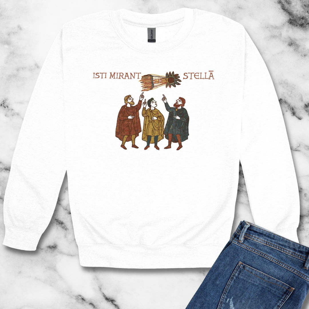Bayeux Tapestry Comet Unisex Heavy Crewneck Sweatshirt