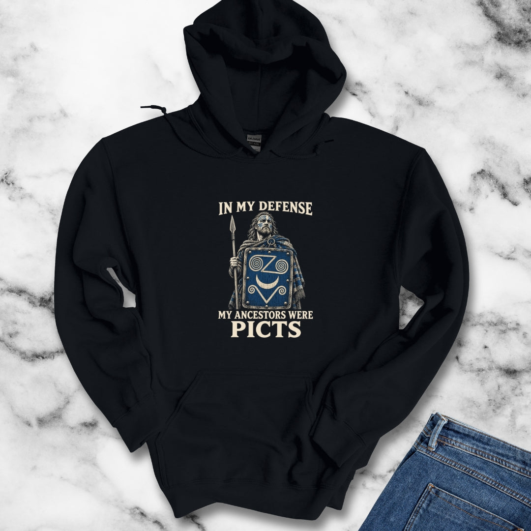 In My Defense Ancestors Were Picts Hoodie