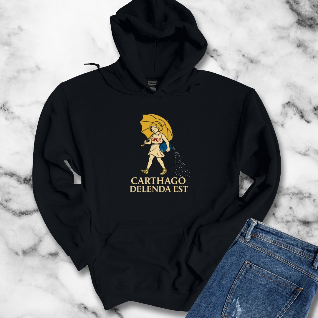 Carthago Delenda Est Morton's Salt Parody Unisex Heavy Blend™ Hooded Sweatshirt