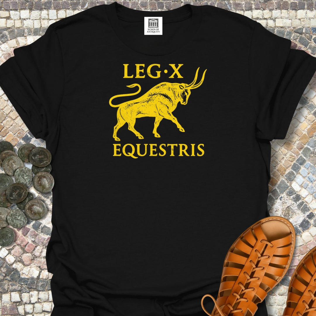 Ancient Roman Legion X Equestris T-Shirt