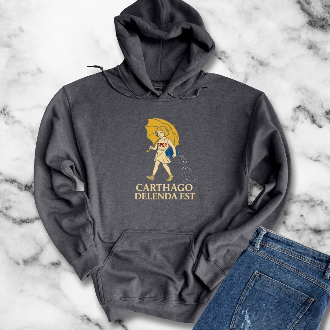 Carthago Delenda Est Morton's Salt Parody Unisex Heavy Blend™ Hooded Sweatshirt
