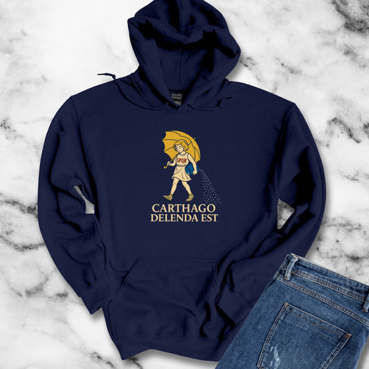 Carthago Delenda Est Morton's Salt Parody Unisex Heavy Blendâ„¢ Hooded Sweatshirt
