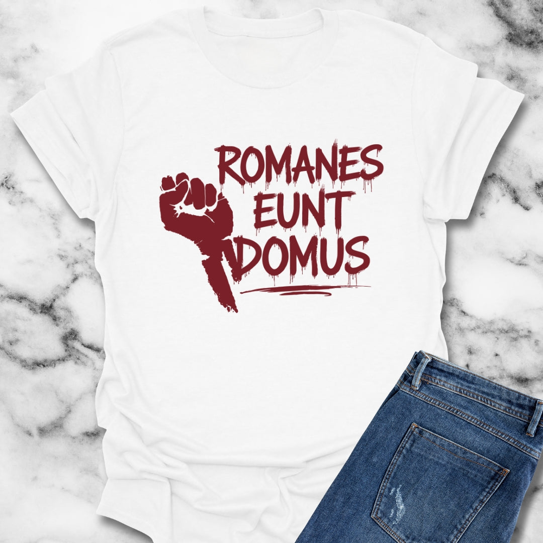 Romanes Eunt Domus Brian Latin Quote T-Shirt