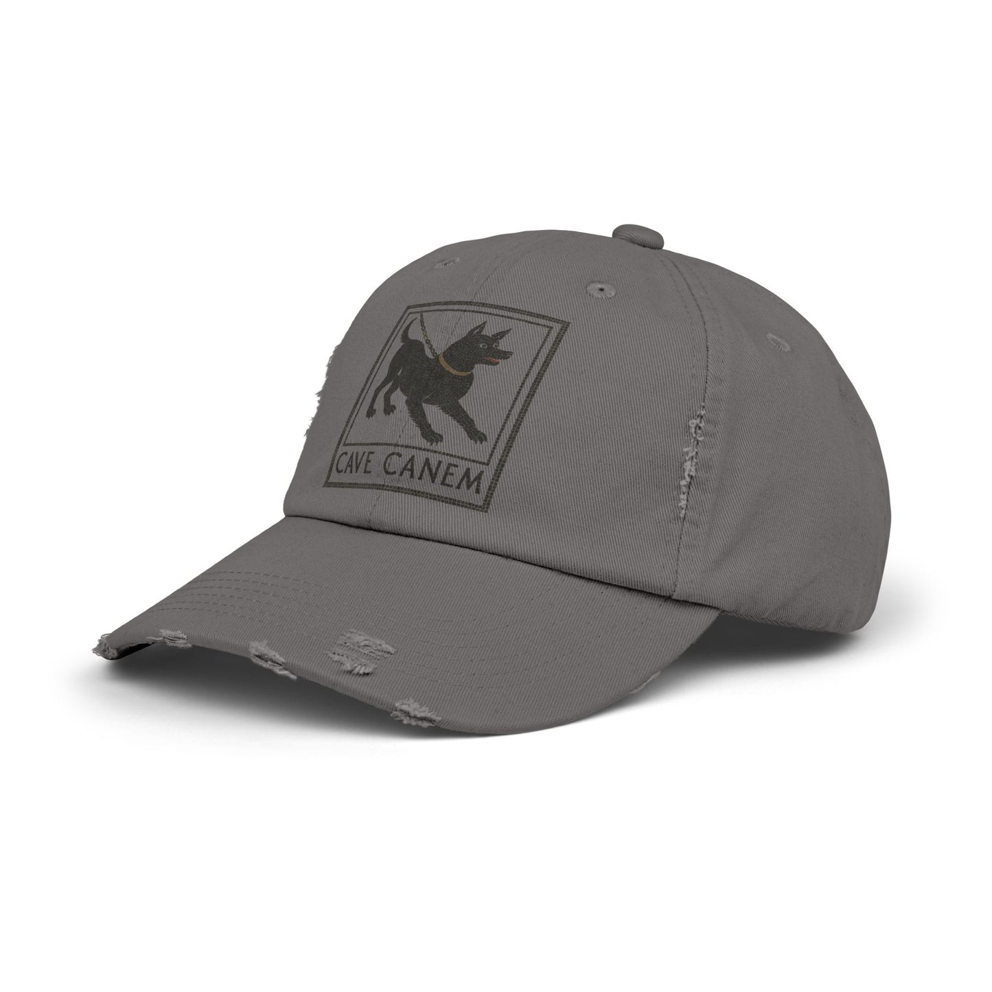 Cave Canum Unisex Distressed Cap
