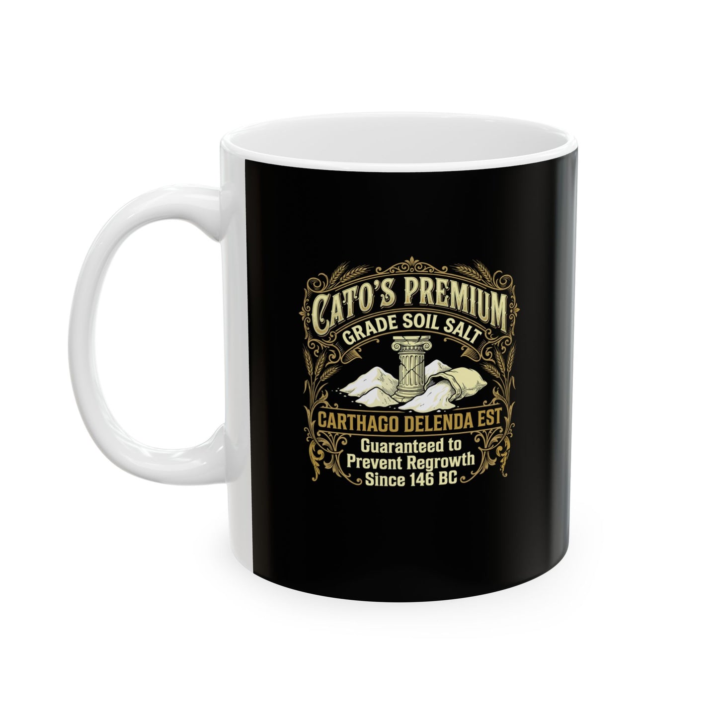 Cato Premium Salt Carthago Delenda Est Ceramic Mug, (11oz, 15oz)