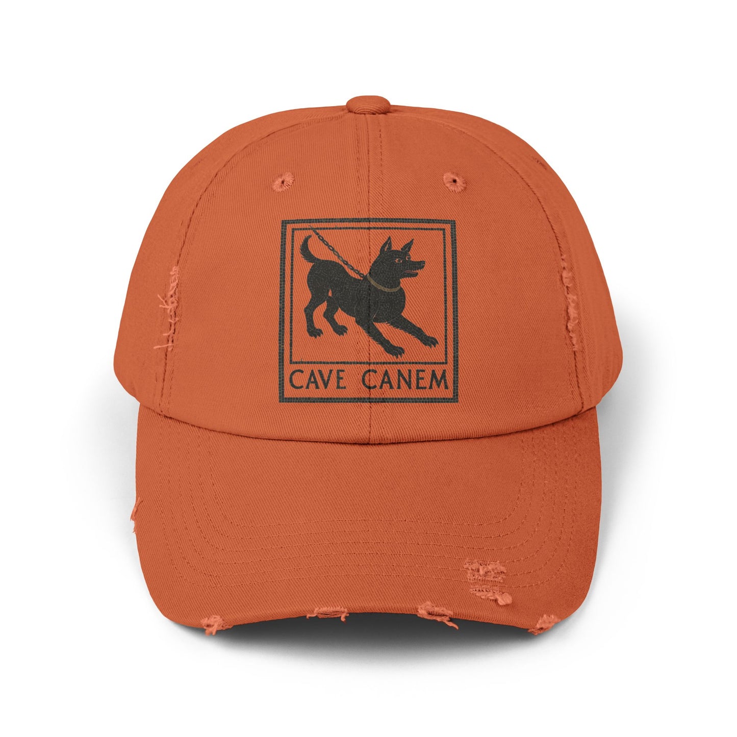 Cave Canum Unisex Distressed Cap