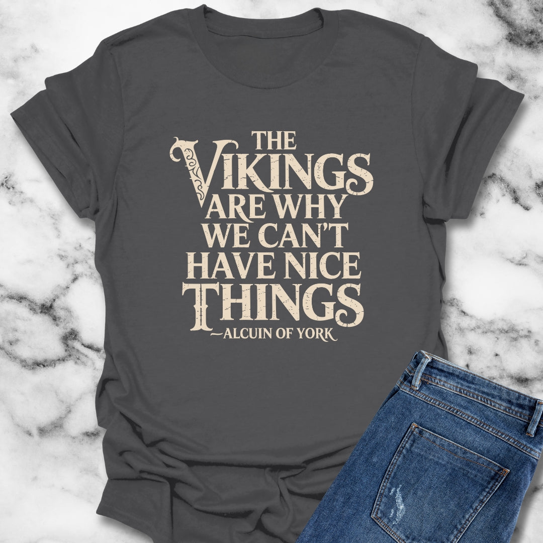 Vikings Why We Can't Have Nice Things Unisex Lightweight T-Shirt