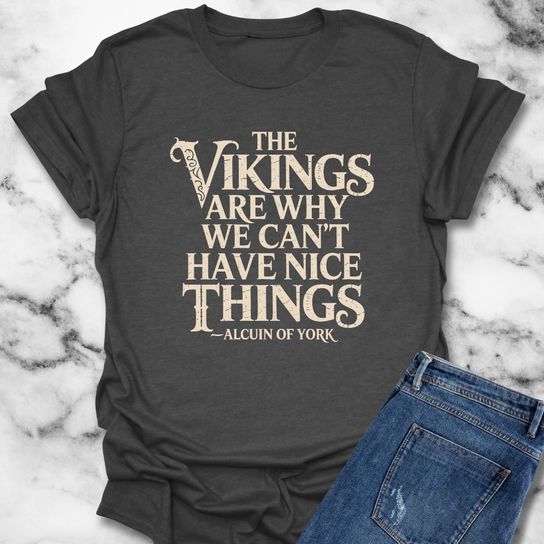Vikings Why We Can't Have Nice Things Unisex Lightweight T-Shirt