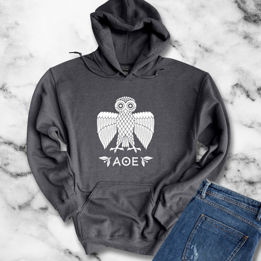 Ancient Athenian Owl Greece Unisex Heavy Blend™ Hooded Sweatshirt