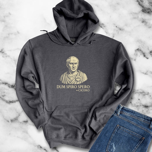Dum Spiro Spero Cicero Quote While I Breathe I Hope Unisex Heavy Blend™ Hooded Sweatshirt