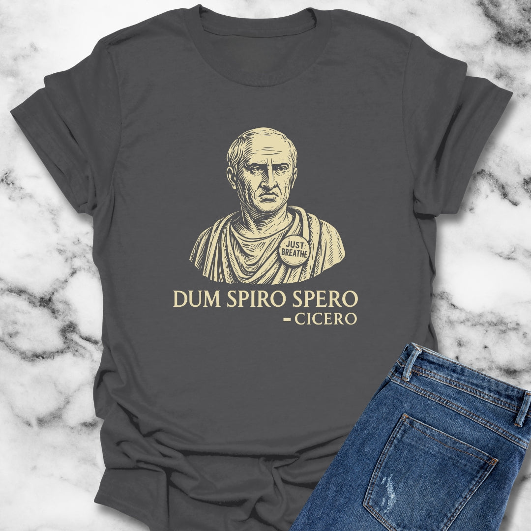 Dum Spiro Spero Cicero Quote While I Breathe I Hope Unisex Lightweight T-Shirt