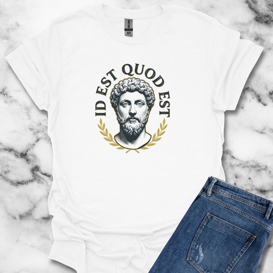Aurelius It Is What It Is Latin Quote Unisex Lightweight T-Shirt