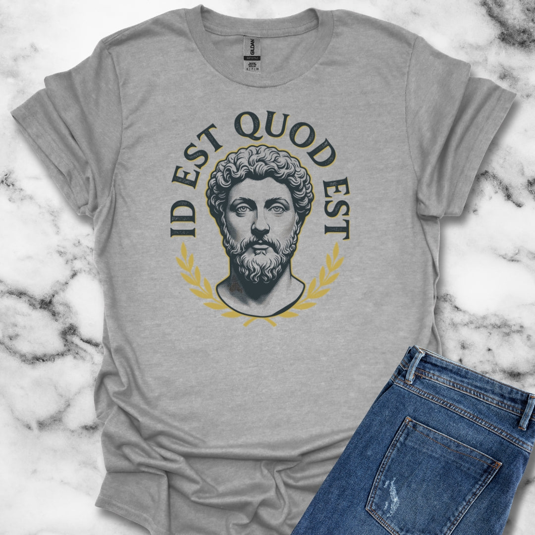 Aurelius It Is What It Is Latin Quote Unisex Lightweight T-Shirt