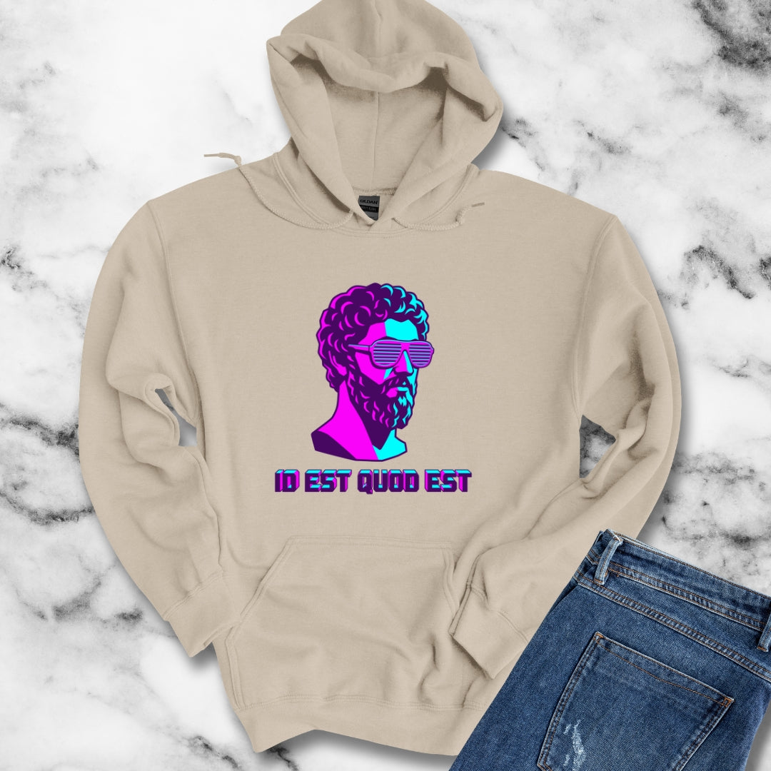 Vaporwave Aurelius It Is What It Is Latin Quote Hoodie Sweatshirt