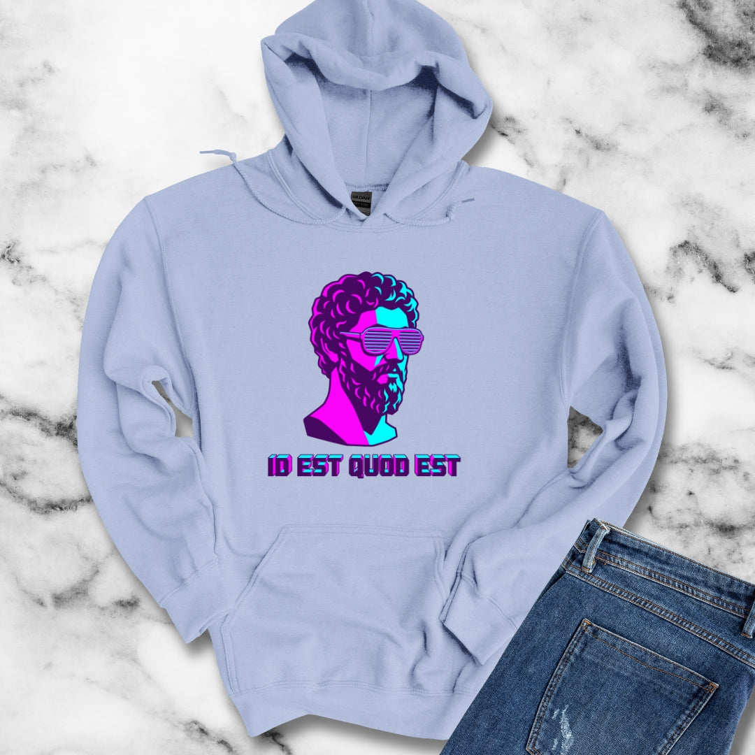 Vaporwave Aurelius It Is What It Is Latin Quote Hoodie Sweatshirt