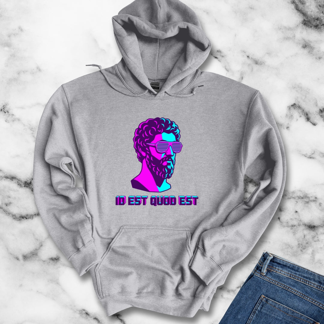 Vaporwave Aurelius It Is What It Is Latin Quote Hoodie Sweatshirt