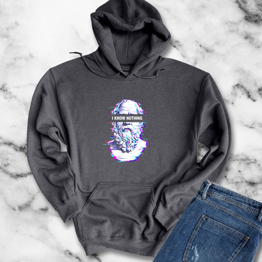 Socrates I Know Nothing Hoodie Sweatshirt