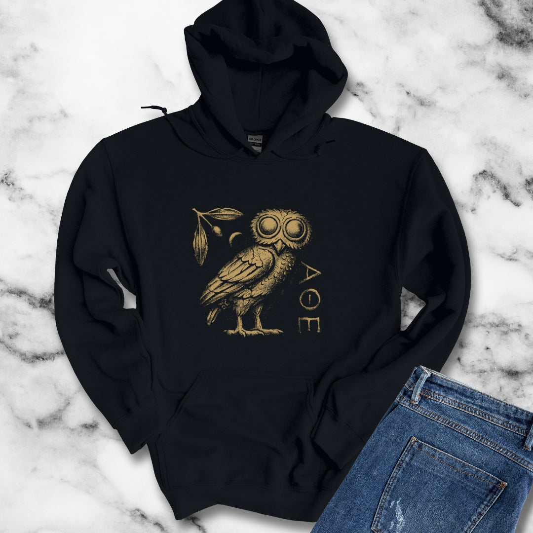 Athens Owl Distressed Graphic Hoodie