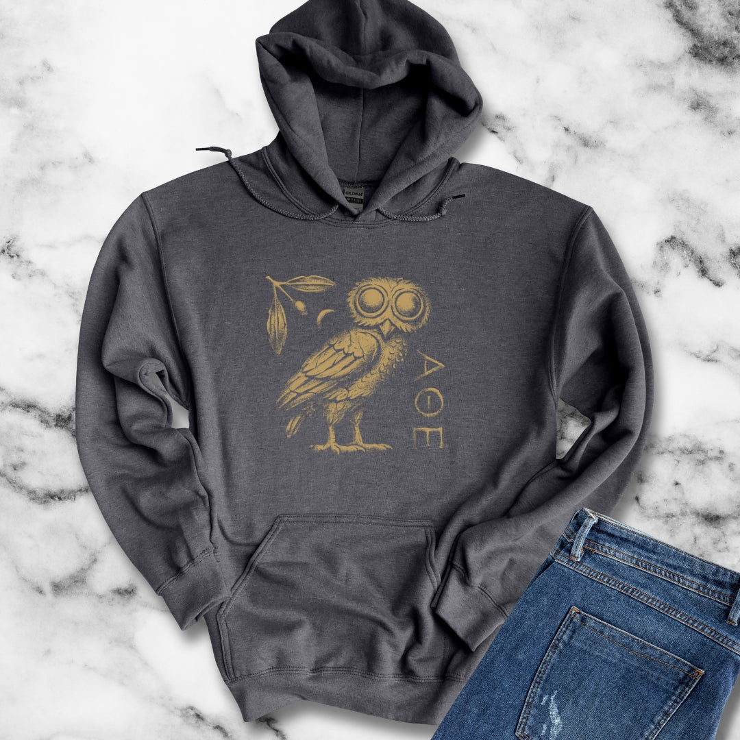 Athens Owl Distressed Graphic Hoodie