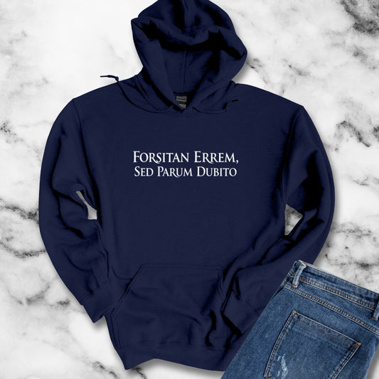 I Could Be Wrong But I Doubt it in Latin Hoodie