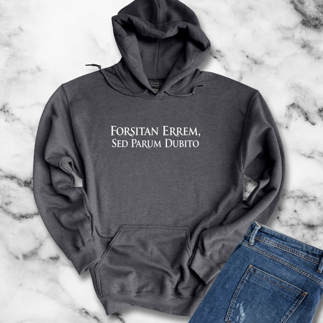 I Could Be Wrong But I Doubt it in Latin Hoodie