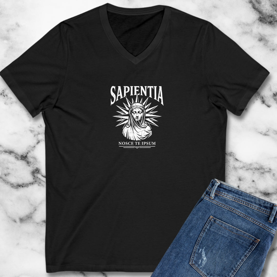Wisdom Know Thyself Latin V-Neck