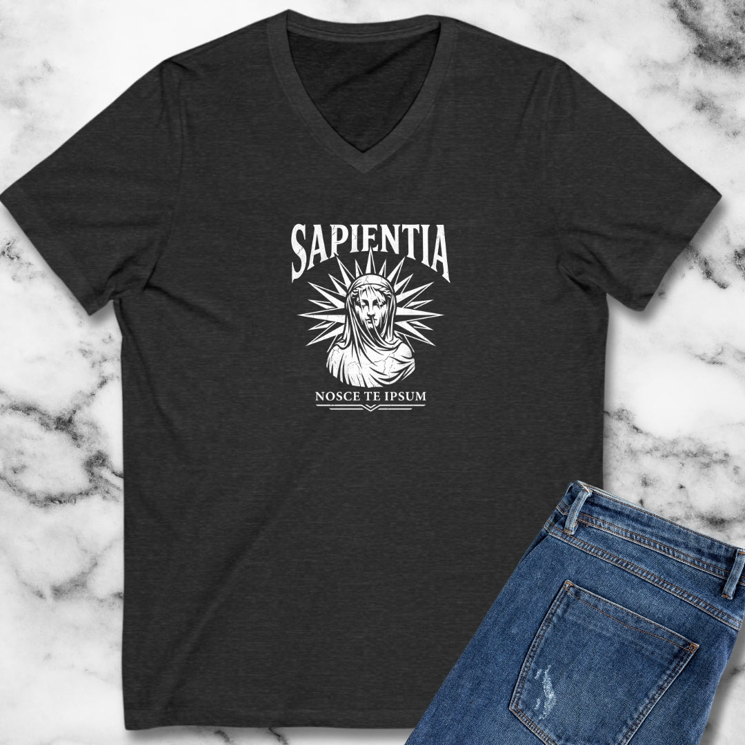 Wisdom Know Thyself Latin V-Neck
