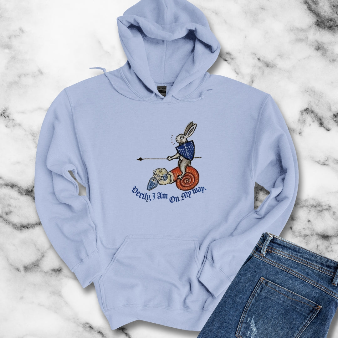 Medieval Marginalia Rabbit Snail Hoodie