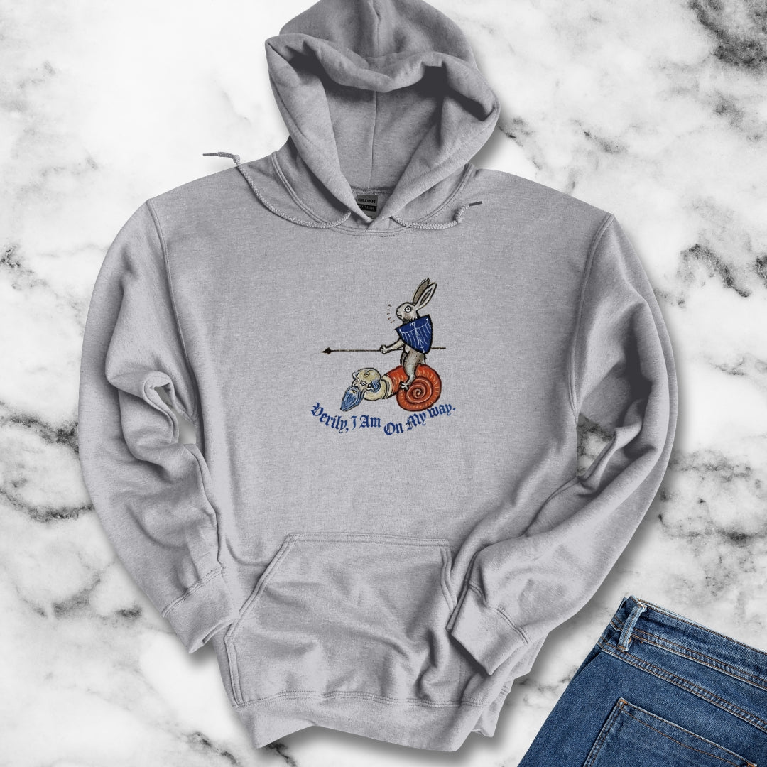Medieval Marginalia Rabbit Snail Hoodie